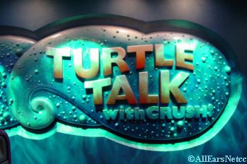 Turtle Talk with Crush Sign
