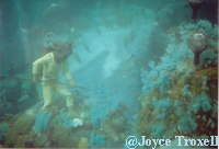 1983 photo  20,000 Leagues Under the Sea